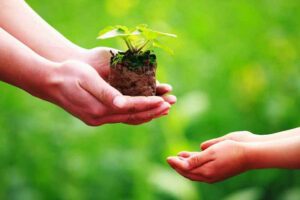 20 cách tích đức cải tạo vận mệnh